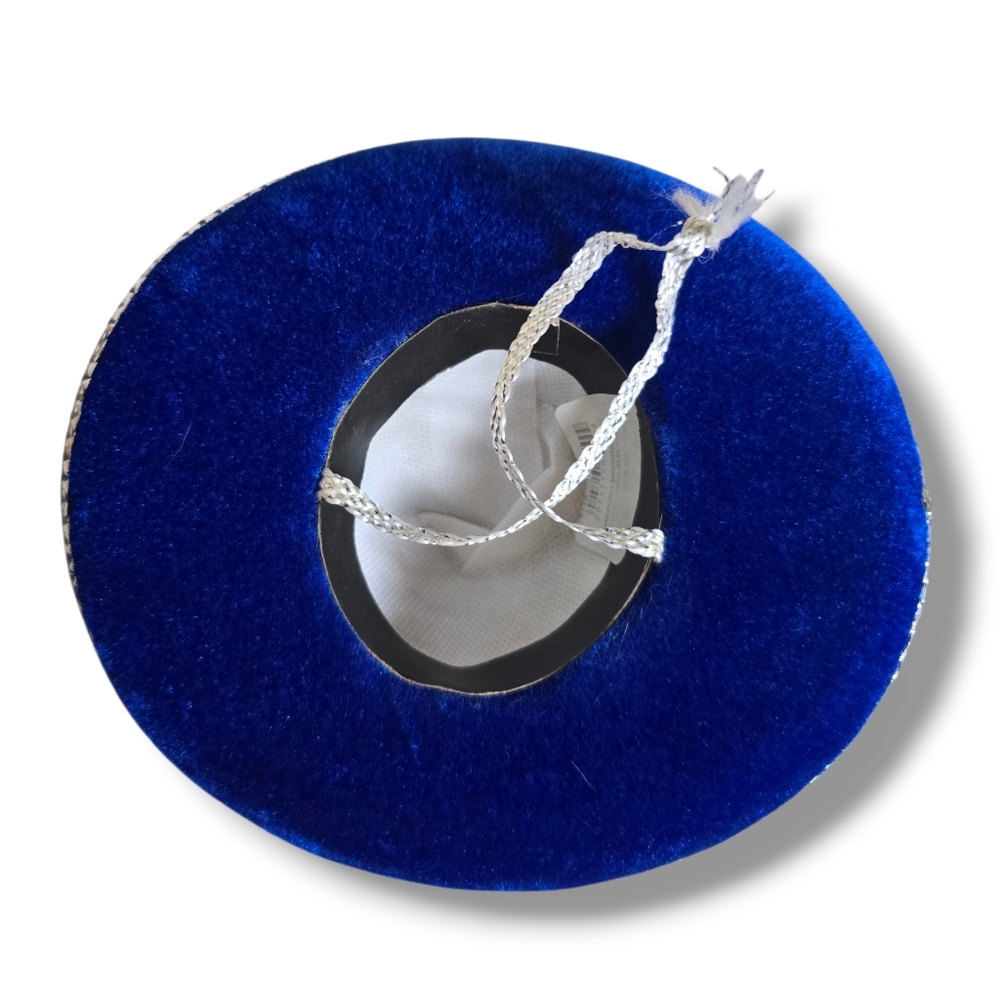 π Host Pick π Mexican Blue and Silver Small Dog Mini Sombrero - Picture 15 of 16